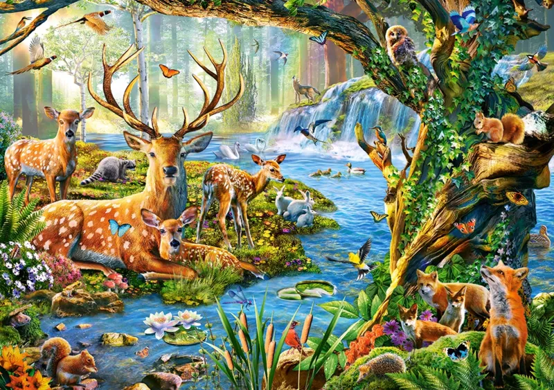 Forest Life