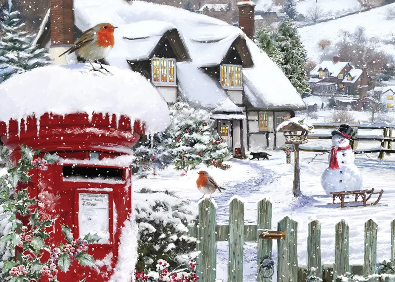 Robins in the Snow