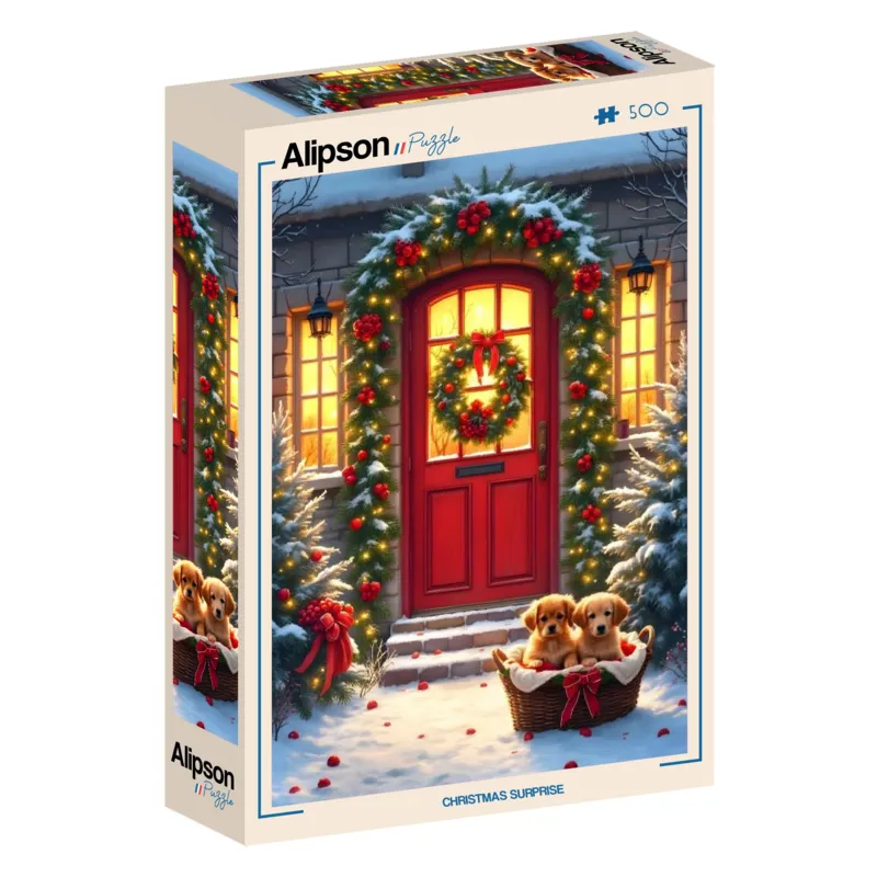Christmas Surprise