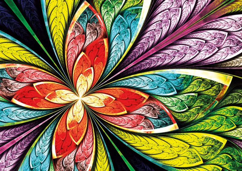 Colorful Flower