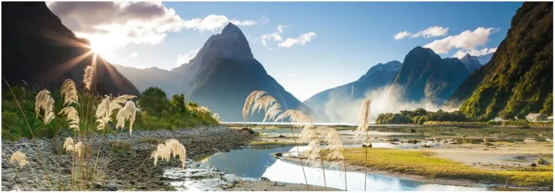 Sarah Sisson: Milford Sound