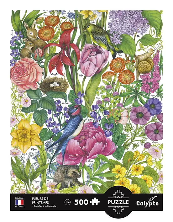 Spring Flowers