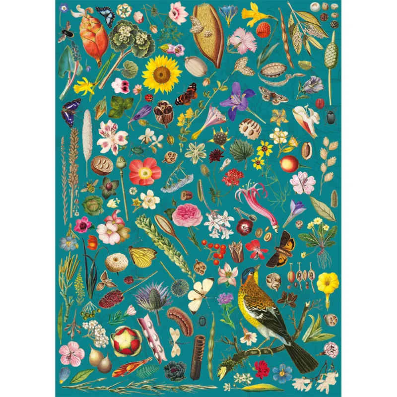 RHS: Floral Fantasy