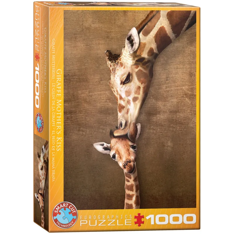 The mother Giraffe and its girafon