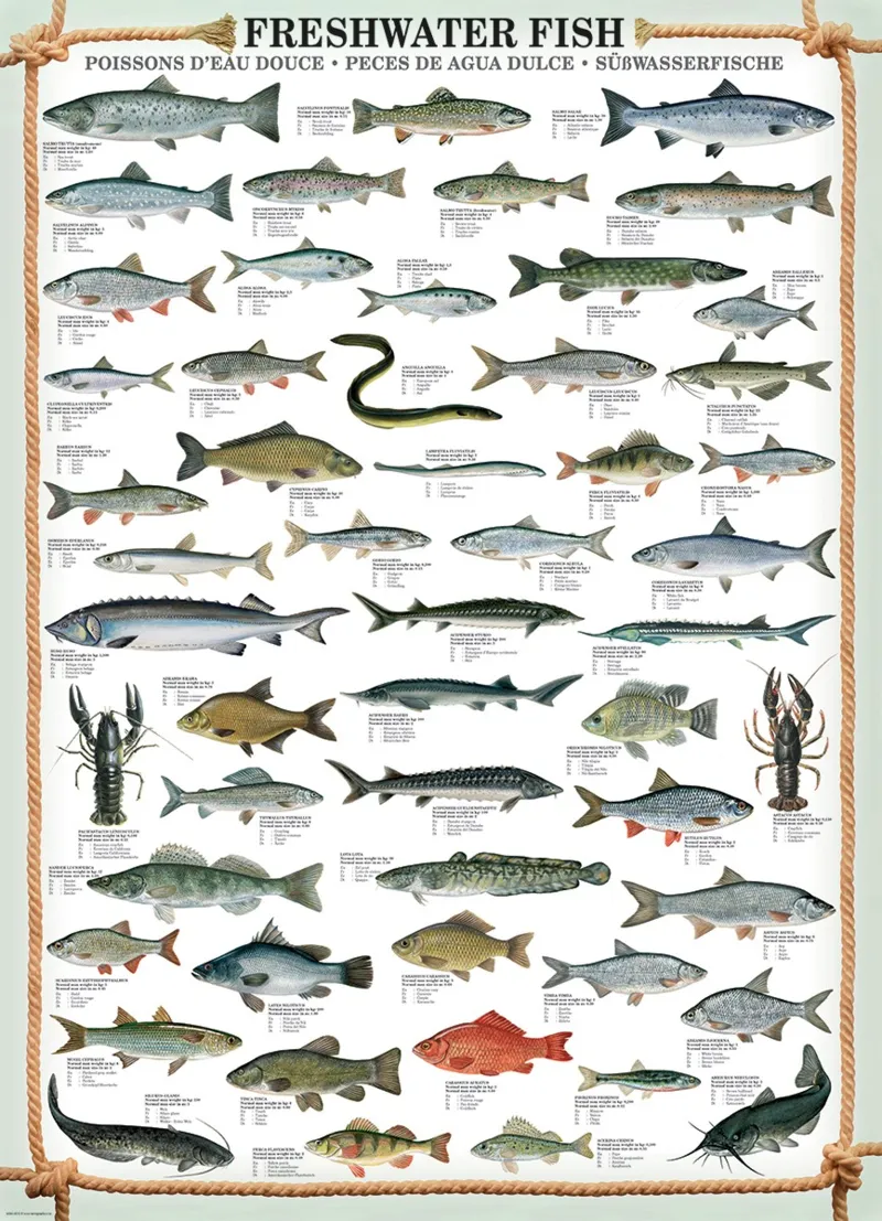 Fishes