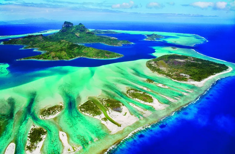 Save the Planet Collection - Coral Reef