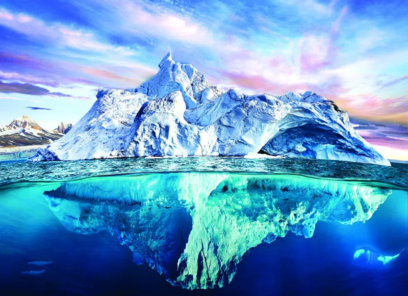 Save our Panet Collection - Arctic