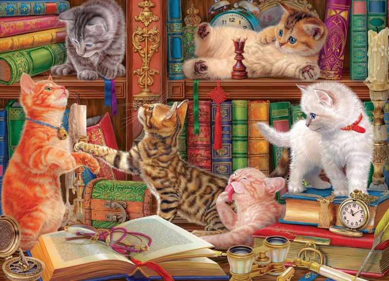 Kittens in the Library