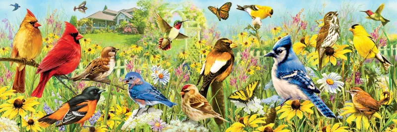 Garden Birds
