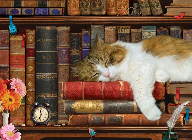 XXL Pieces - The Cat Nap