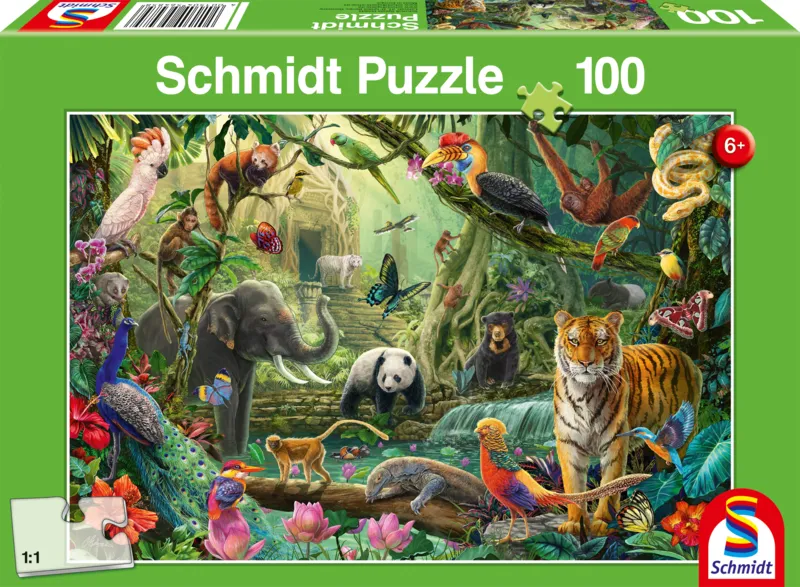Colourful Jungle Wildlife
