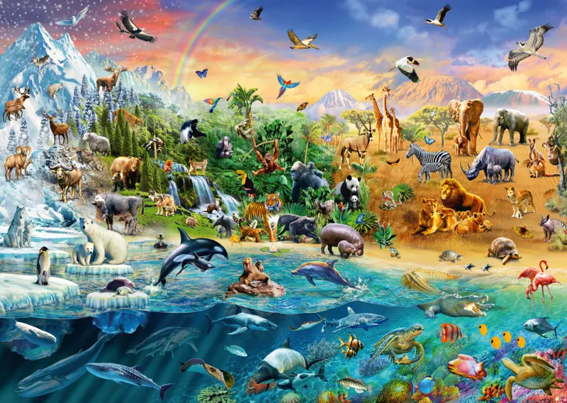 The world of Animals