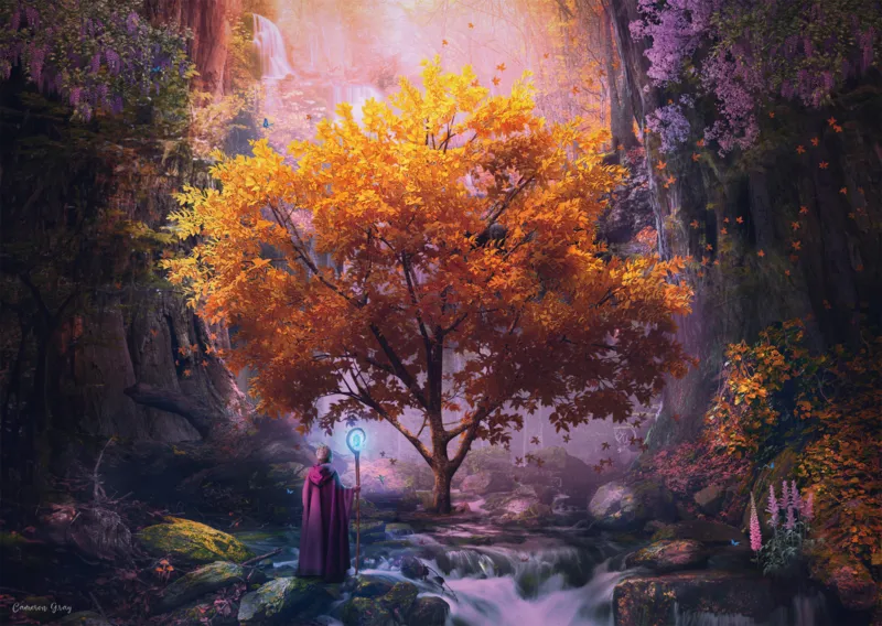 Enchanted Forest