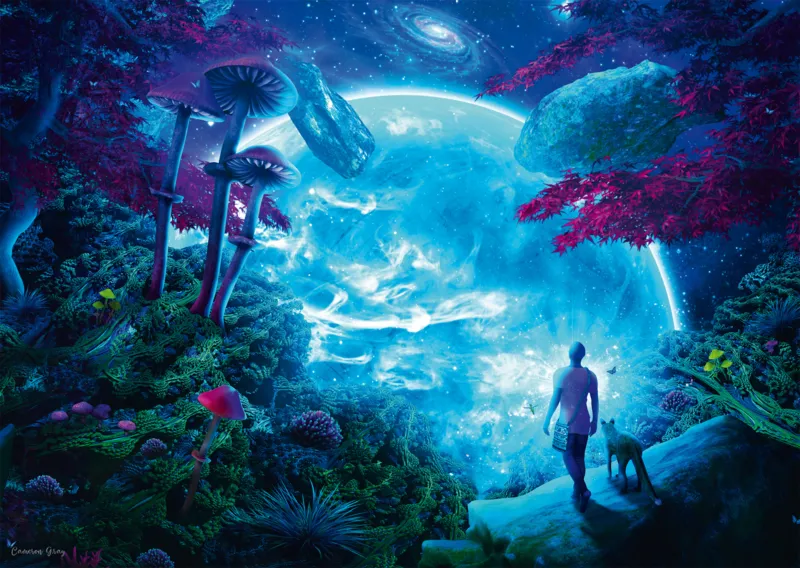 Sky Fantasy