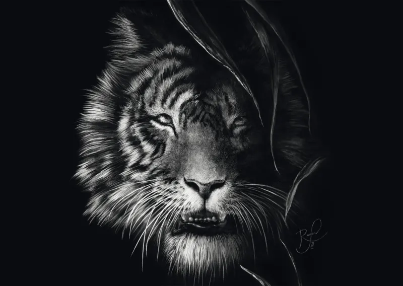 Wilderness - Tiger: In the Sign of Freedom