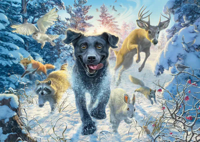 Dog Love - Black Labrador in the Snow
