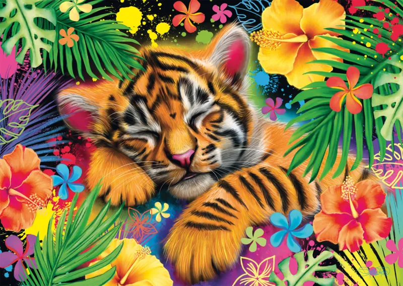 Baby Tiger