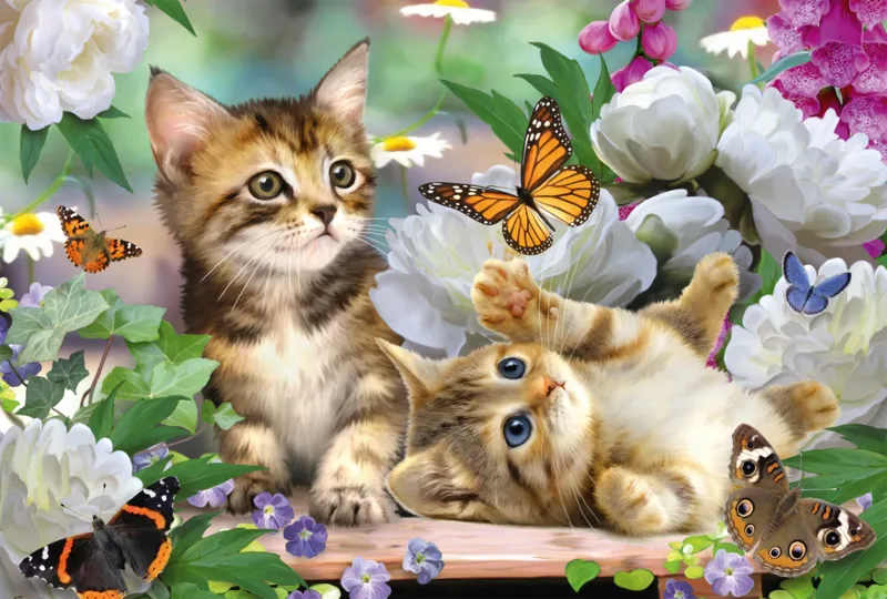 Playful Kittens