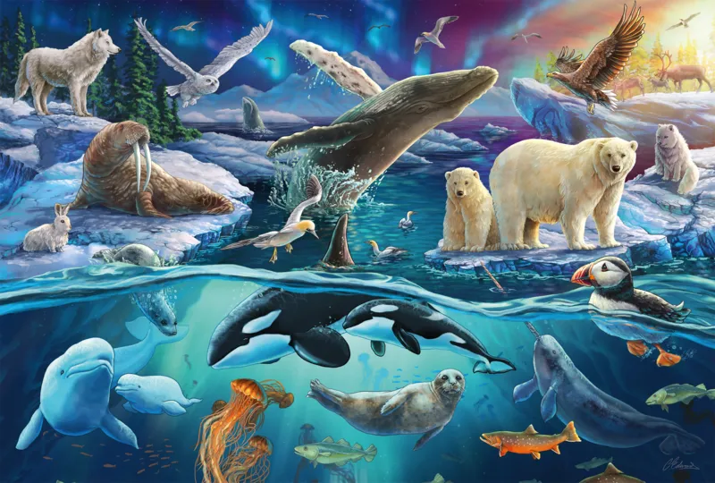 Arctic Animals