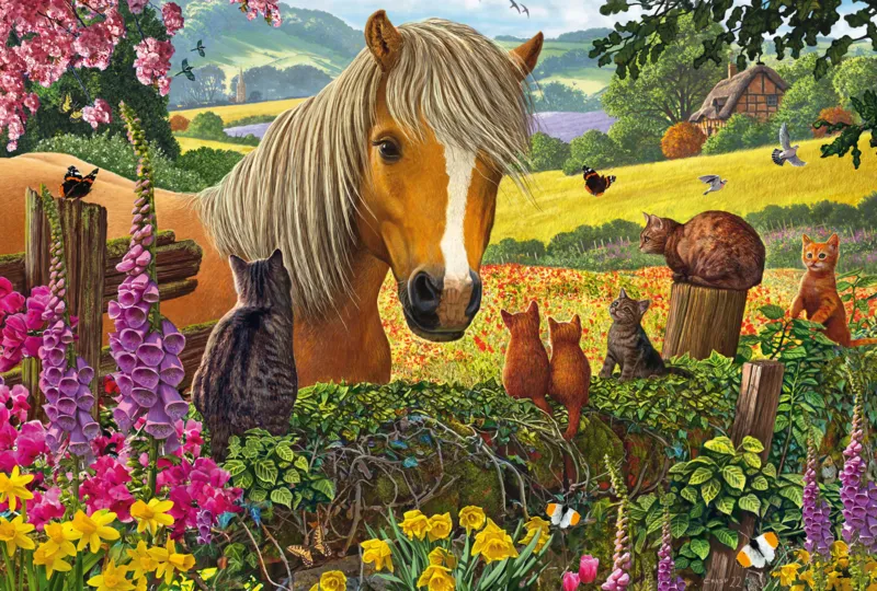 A Sweet Visit to the Paddock