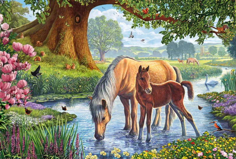Horses