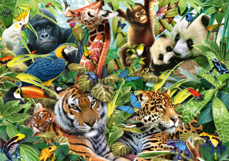 Colorful wildlife