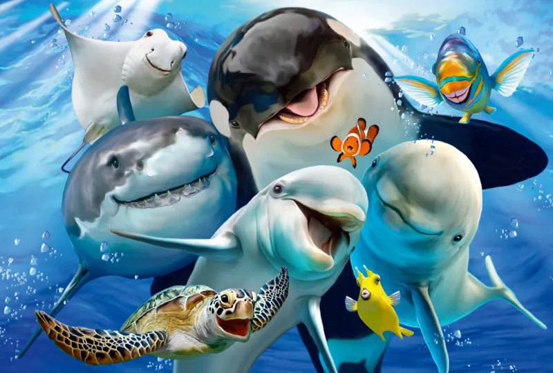 Marine Friends