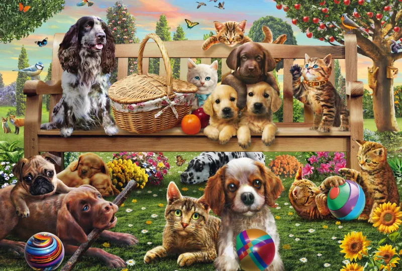 Dogs and Cats