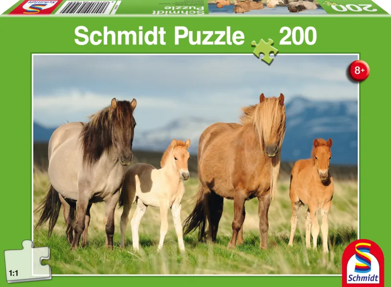 Horse Family