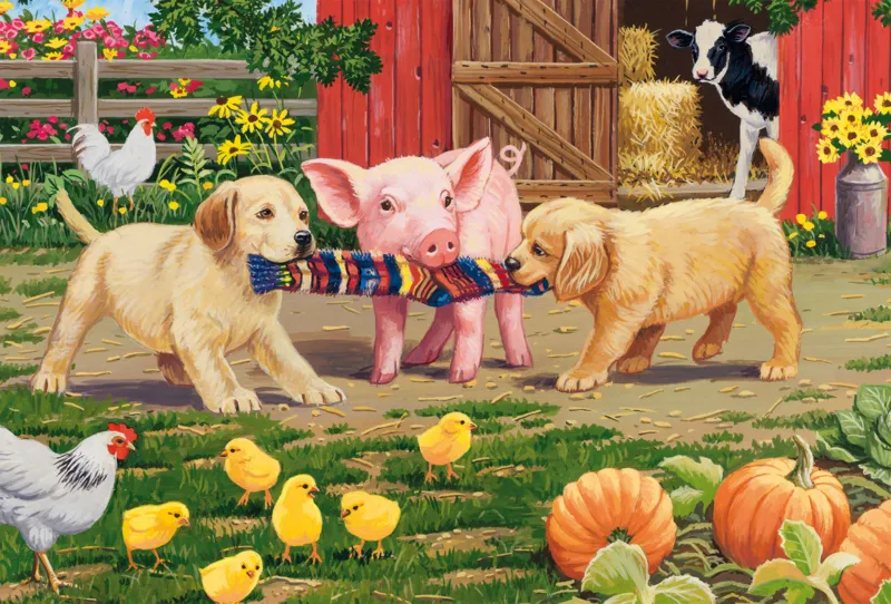Farm Animals