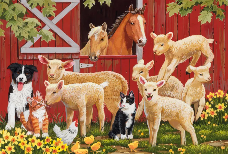 Farm Animals