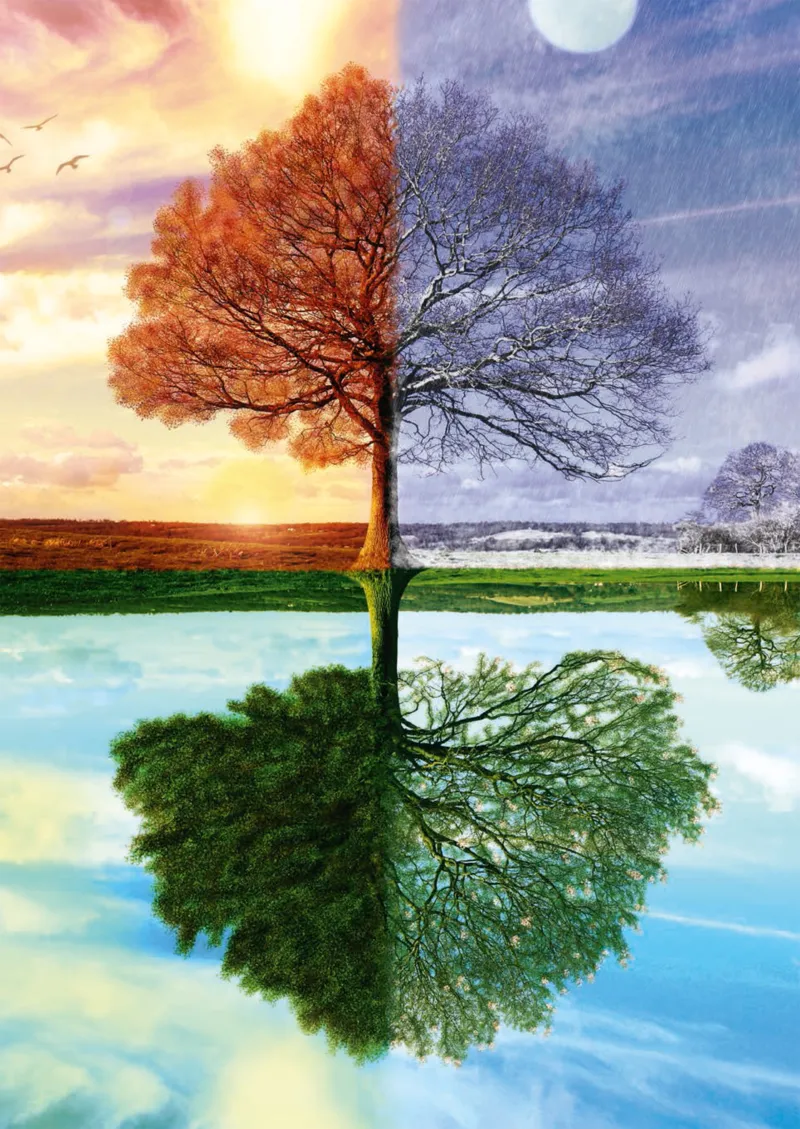 Seasons Tree