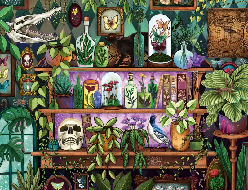 Witch Trinkets & Items