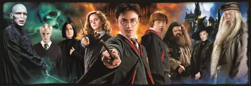 Harry Potter
