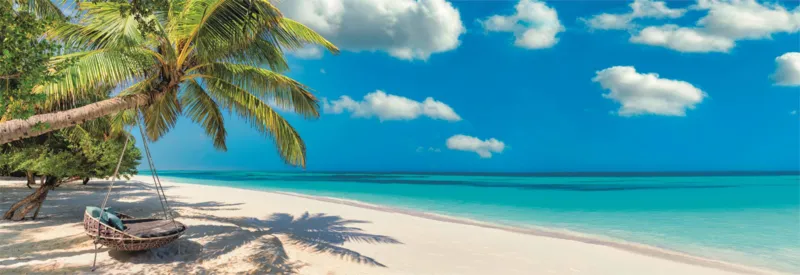 Swinging by the Ocean