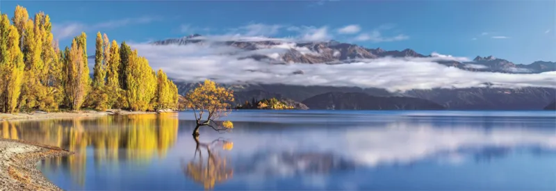 Wanaka's Golden Reflections