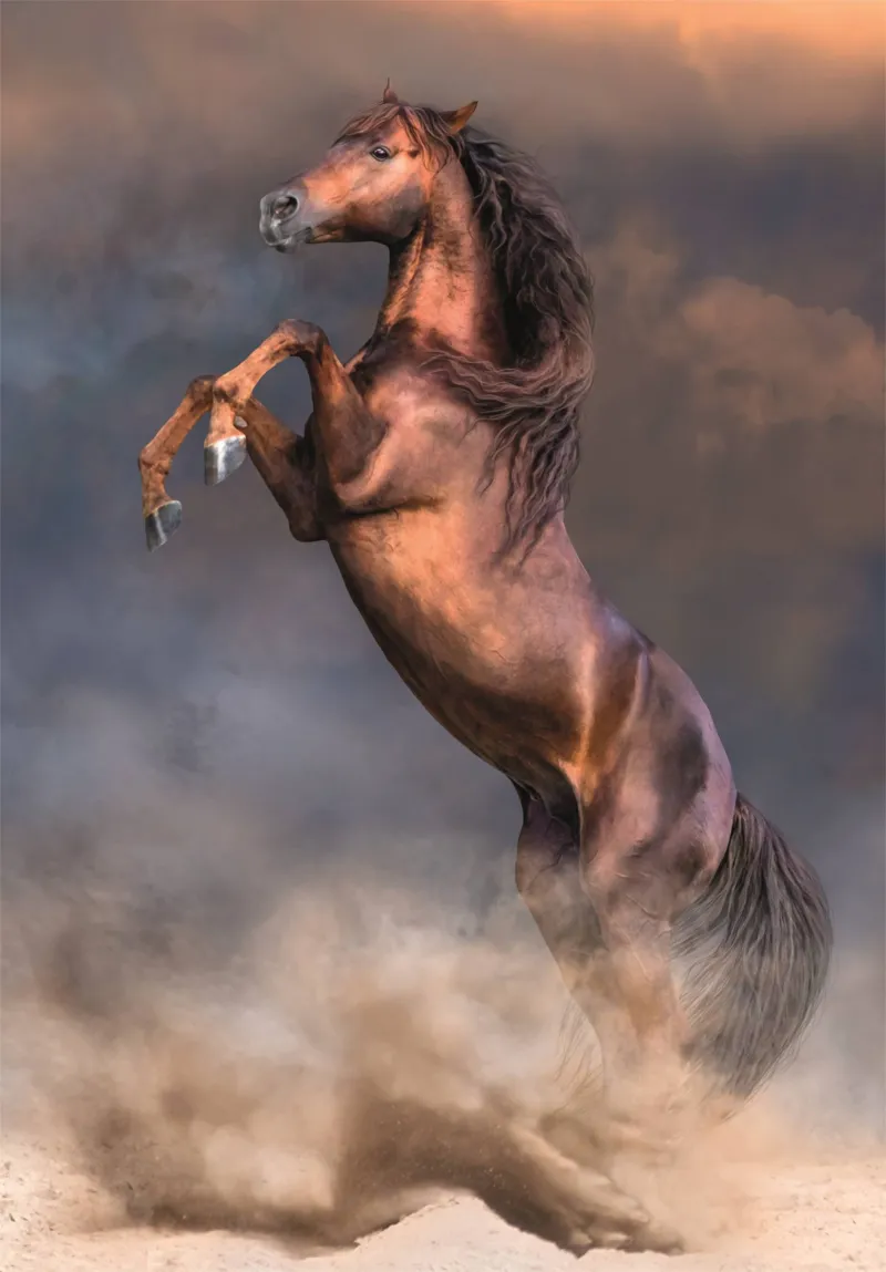 Wild Red Stallion