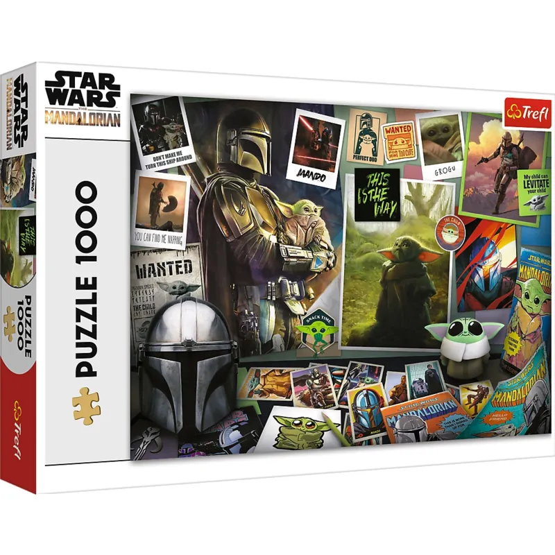 Star Wars The Mandalorian
