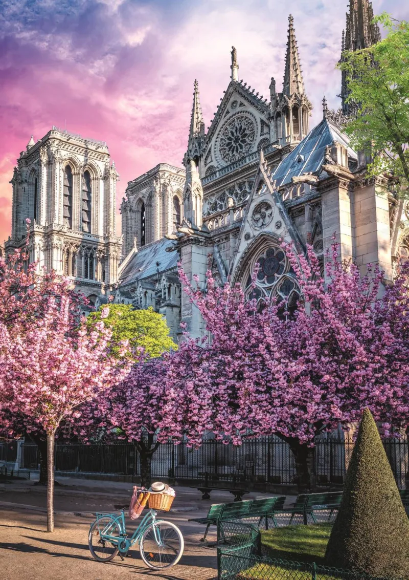 Odyssee Foto: Kathedrale Notre-Dame De Paris
