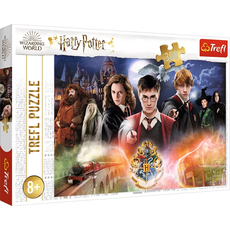 Harry Potter