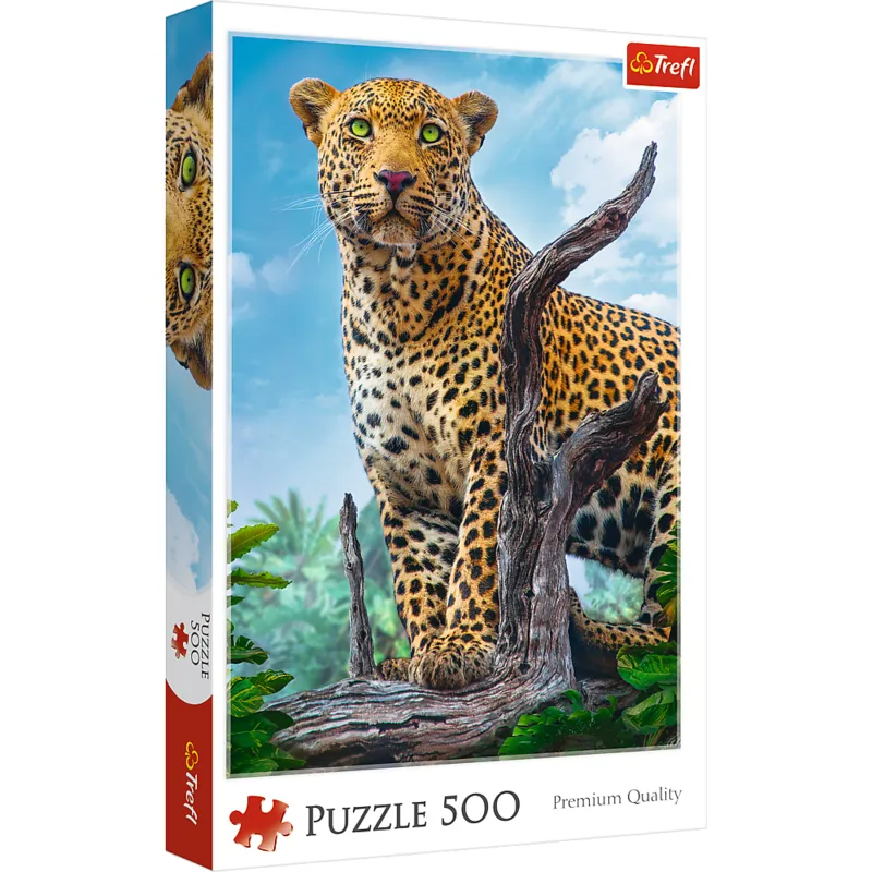 Leopard