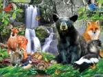 National Parks - Shenandoah