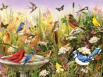 Feathered Friends