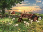 Field at Sunrise