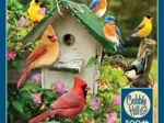 XXL Pieces - Summer Birdhouse