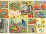 Garden Birds in Autumn
