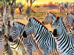 XXL Pieces - Zebras and Friends