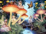 Toadstool Brook