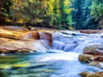 Beautiful Waterfall in the Forest