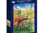 Bluebirds on a Bicycle